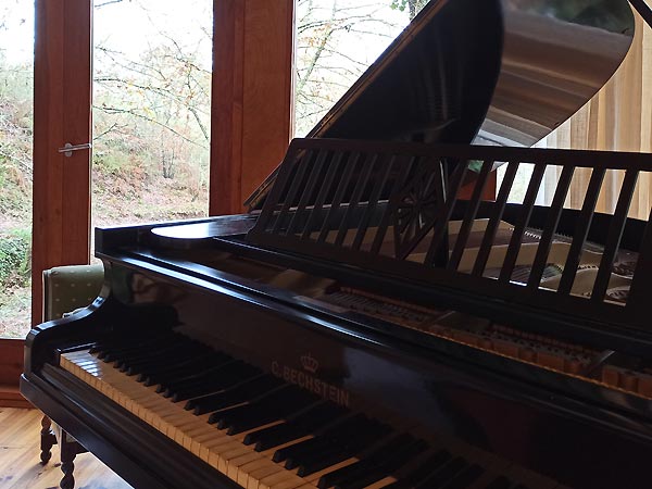 Bechstein Grand Piano on holiday