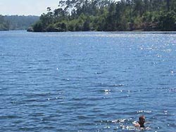 Nadar perto da Quinta da Abelenda
